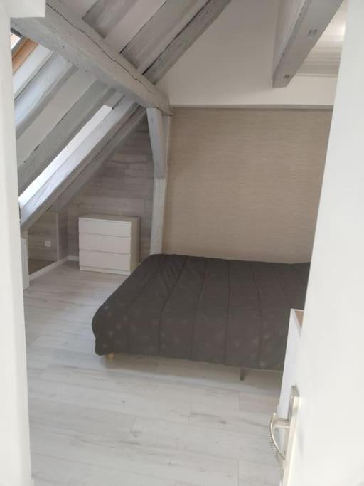 Charmant Appartement Cosy Selestat Exterior photo